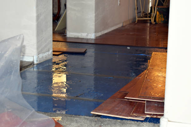 Professional Water Damage Restoration technician working in Lockhart, FL